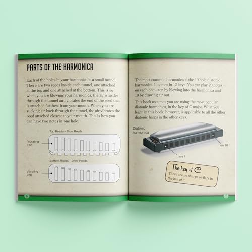 Apprendre l'harmonica autour d'un feu de camp avec la méthode des boîtes rétro