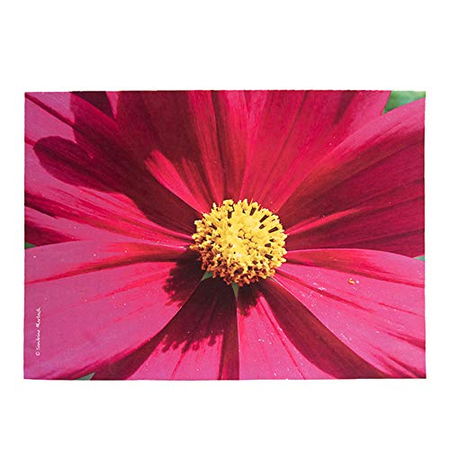 Sandrine Marbach Set de Table Velours Collection Fleurs - Cosmo Fuschia