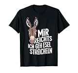 Esel Eselchen Maultier Muli