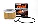 FRAM CH6007 Motorcycle Oil Filter