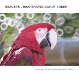 TOKINA SZ-Pro 300mm F7.1 MF kompaktowy teleobiektyw lustrzany Fujifilm X