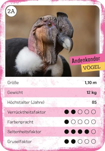 Das verrückte Quartett: Tier-Quartett und Trumpf-Kartenspiel | Spielspaß für Kinder ab 8 Jahren