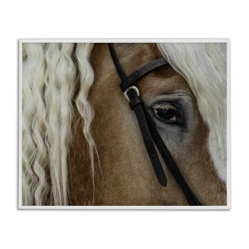 Blonde Palomino Horse Portrait, 24 x 30 Inch Framed Giclée Print