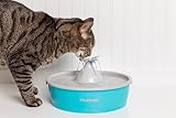 PetSafe Drinkwell Ersatz-Pumpe für Butterfly Haustierbrunnen und 1,8 & 3,7 & 7,5 Liter Trinkbrunnen, Sorgt für Wasserfluss Schwarz.