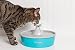 PetSafe Drinkwell Ersatz-Pumpe für Butterfly Haustierbrunnen und 1,8 & 3,7 & 7,5 Liter Trinkbrunnen, Sorgt für Wasserfluss Schwarz.