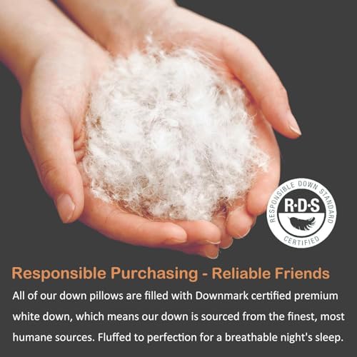 Hyvif Luxury Goose Down Pillows Queen Size,Soft And Support 750 Fill Power Down Bed Pillow thumb #3