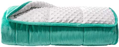 ALANSMA Reversible Weighted Blanket for All Season, Luxury Velvet, Warm and Cool, Adult Kids 10Lb Weighted Blanket, Enjoy Sleeping Anywhere(Green, 48''x72''10lbs)