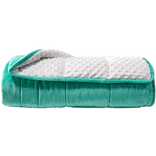 ALANSMA Reversible Weighted Blanket for All Season, Luxury Velvet, Warm and Cool, Adult 10Lb Green Weighted Blanket, Enjoy Sleeping Anywhere(Light Green,48″x72″ 10lbs)