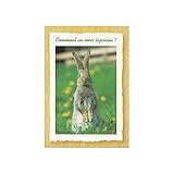 Carte Message - Lapin Comment Va Mon Lapinou ?