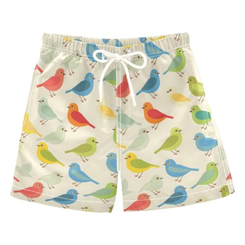 ALAZA Bird Cartoon Colorful Boys' Swim Trunks Beach Shorts Quick Dry Swimsuit 3T
