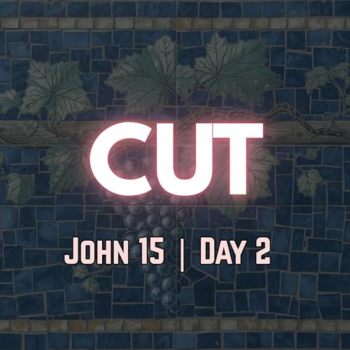 Pruned to Bear More Fruit | John 15:2 | Day 2 of 27 | Daily Christian Meditation