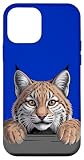 Un bel gatto bobcat che sbircia la testa per salutarci, mostrando quegli occhi acuti, orecchie trapuntate e classico atteggiamento da gatto selvatico. Perfetto per qualsiasi amante della fauna selvatica.