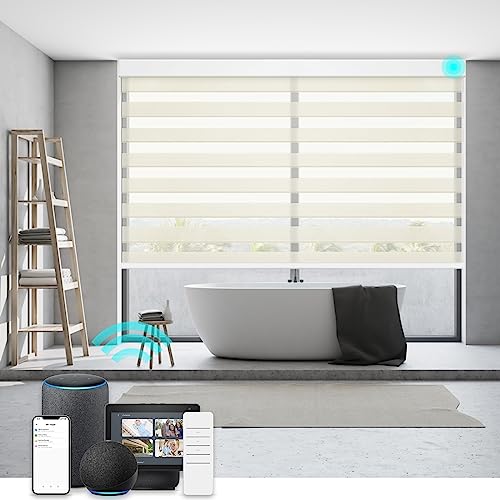 Image of Changshade Smart Zebra Blinds Motorized Shades Remote Control for Indoor Windows, Custom Size Electric Solar Panel Power Automatic Work with Alexa, Google Home, Apple Homekit, Light Filtering, Beige