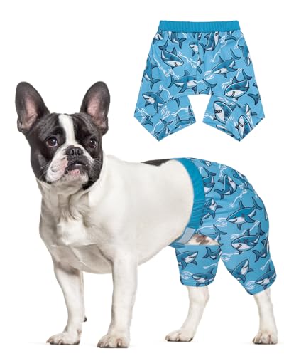 CuteBone Dog Swim Trunks Swimsuit Durable & Comfortable - Quick-Dry, Adjustable Waistband Shorts, UV Protection Bikini- Perfect for Beach, Pool & Outdoor Fun, Dinos DST14M