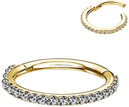 OUFER Nose Rings Septum 16G 316L Stainless Steel Hinged Segment Clicker Clear CZ Paved Cartilage Earrings Hoop Helix Tragus Daith Piercing Jewellery