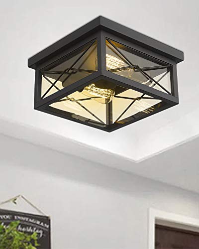 Emliviar 12 Inch Ceiling Light Fixture, 2-Light Flush Mount Ceiling Light In Black Finish, 0387B-Cl Bk #TOP2
