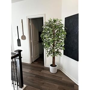 Aveyas 6ft Artificial Ficus Tree for Home Decor 6 Feet Faux Plant Fake Silk Trees with Pot for Indoor Outdoor House Living Room Office Garden 6 ft Tall