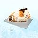 Hileyu Kühlmatte für Hamster, Kaninchen & Meerschweinchen - Anti-Hitzeschlag Eis-Matte für kleine Haustiere - Aluminium-Schaum-Kombination - 12 * 8cm/4.7 * 3.1in