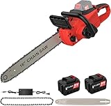 Tronconneuse Electrique 2000W, Tronconneuse a Batterie san fil, 2 Batteries Incluses, Guide de 40 cm, Vitesse de Chaîne de 18 m/s, Equipé d'une Lubrification Automatique de la Chaîne et d'un Indicate