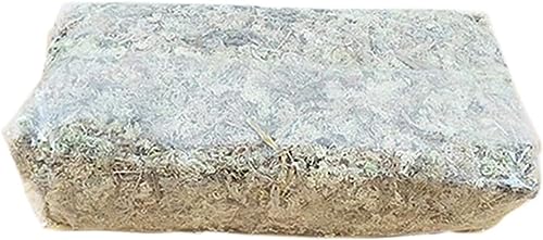 VR ~YSP  eʖ6L  L@엿 \ Ӓ Ӓ | K[fjO ~  VR ~YSPA?̐A엿̂߂ VR ~YSP  e EH[^[X hCX  Ӓp