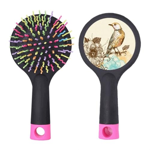 Brosse à cheveux démêlante à coussin d'air au motif coloré d'oiseaux et de fleurs pour salon