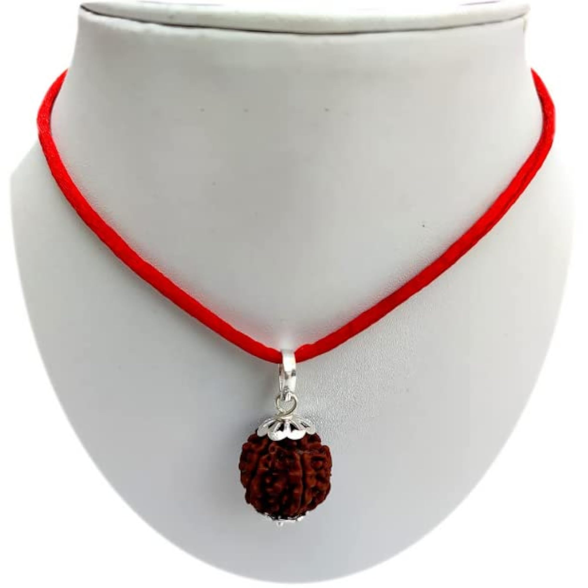 6 Mukhi Rudraksha with Silver Locket, Original Certified