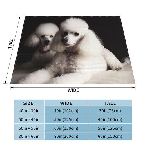 Couverture polaire imprimé caniche de qualité premium