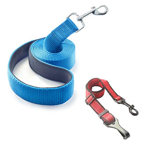 Dutchy Brand Blue Dog Leash - Sturdy 6' Nylon Strap with Padded Handle Bundled Together with Heavy Duty Car Tether - Latch Anchor System