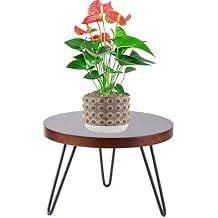 Plant Stand Indoor Outdoor, Wooden plant Stool, Mid Century Plant Stand for Indoor Plants, Wood Modern Plant Holder Rattan Flower, Low Short Boho Rustic Planter Stand Fit 5-15 Inch Pot Walnut, M