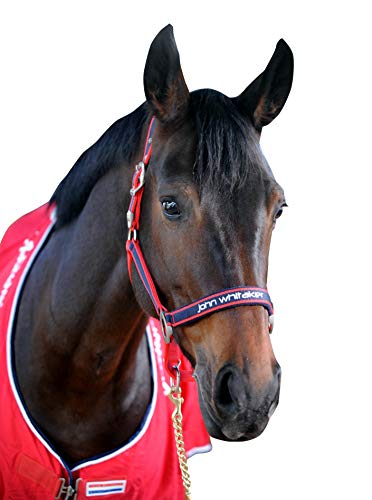 Image of John Whitaker Unisex's WHT0400 Padded Fleece Headcollar, Red, Pony