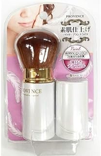 PROVENCE SPV71081 - Brocha para pulverizar la...