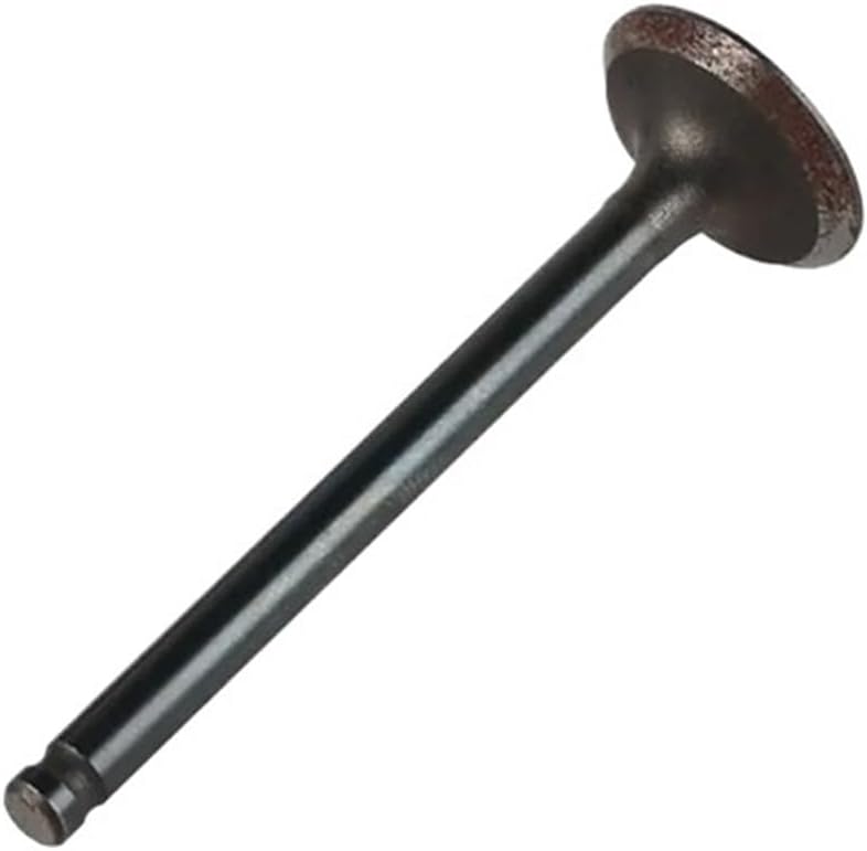 Engine Intake and Exhaust Valve for Forklift Valve 3142A091