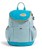 The North Face Mini Explorer 10L Mochila para niños Polar Haze/Meridian Blu