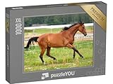 Puzzle classique de qualité dans une boîte anthracite avec l'image du puzzle comme modèle
