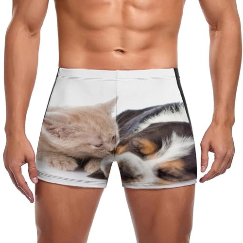 Short de bain homme chien et chaton idéal pour vos vacances à la mer