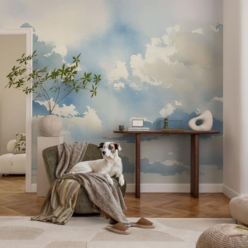 Décor mural adhésif haute qualité panoramique résistant taches nuages - 3