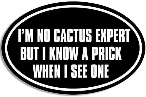 Hardhat Size Oval: I'm No Cactus Expert But I Know a Prick When I See One 3M Reflective Sticker| Funny Rude