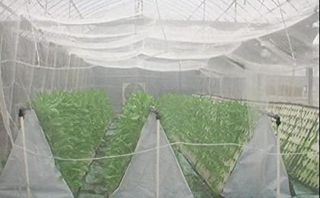 SAMS Creation Garden Shade Mosquito and Mesh Net (Ivory, 10MTS) (B0979M9GVC) Amazon Price History, Amazon Price Tracker