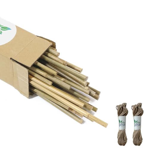VicaVerde Natural Bamboo Stakes for Plants (50-Pack) with Jute Twine, 4 Feet Eco-Friendly Garden Stakes for Tomatoes, Vines, Flowers, Climbing Vines, and Outdoor Plants