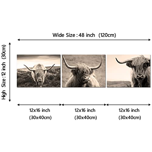 Yeilnm 3 Piece Animals Wall Art Highland Cow Picture Longhorn Cattle Photograph Canvas Prints Poster Beige Artwork Home Farmhouse Living Room Bedroom Decoration Framed Ready To Hang #TOP6