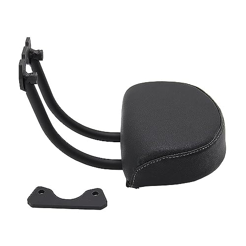 Coussin de siège arrière passager pour moto Sportster S 1250 RH1250S de 2021 à 2022