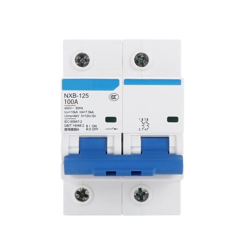Disyuntor NXB-125 2P C100 interruptor magnetotérmico riel DIN