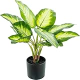 Plante artificielle aglaonema DRW Plante Artificielle aglaonema en PU avec 4 épingles en Vert 20 x 20 x 50 cm