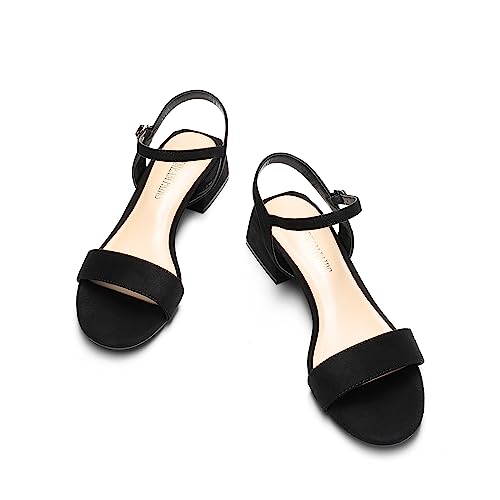 DREAM PAIRS Women's Low Heels for Women Classic Open Toe Ankle Strap Block Chunky Heel Sandals Holiday Party Wedding Dress Pumps Shoes4