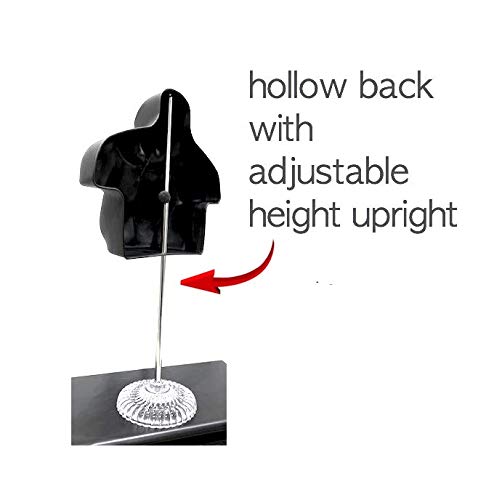 Only Hangers Male Mannequin Torso, Dress Form Hollow Back for T-Shirt Displays, w/Faux Crystal Plastic Stand for Counter Displays. Great for Photos or Garment Display, Easy to Assemble, S-M Sizes.