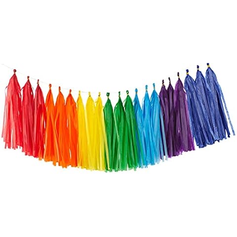 35Pcs Rainbow Tassel Garland Tissue Paper Tassel Banner Decoration for Wedding, Baby Shower,Birthday, Group Activities and Games Cover