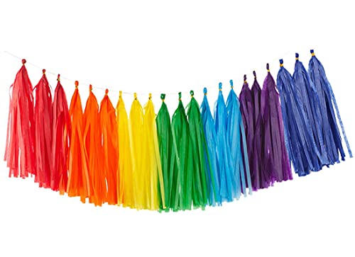 Rainbow Tassel Garland Tissue Paper Banner Decoration