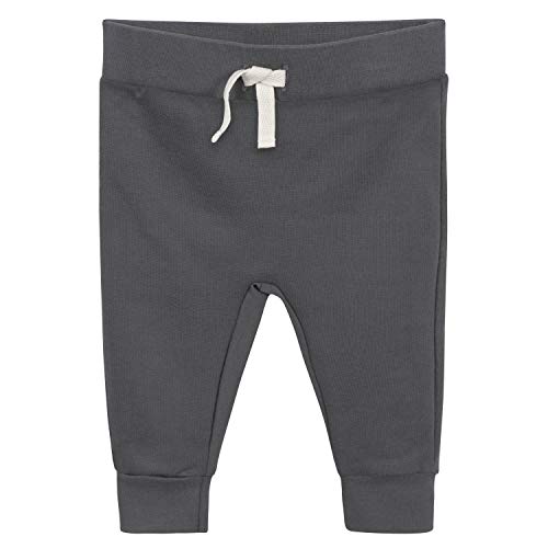 Grow By Gerber Baby Boys 2-Pack Pants, Grey, 6-9 Months #TOP2