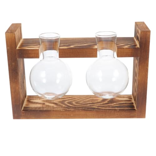 Jarrón hidropónico de cristal soplado y base de madera resistente Zerodeko 2