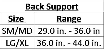 iGO Back Support, Black, Large/X-Large